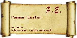 Pammer Eszter névjegykártya